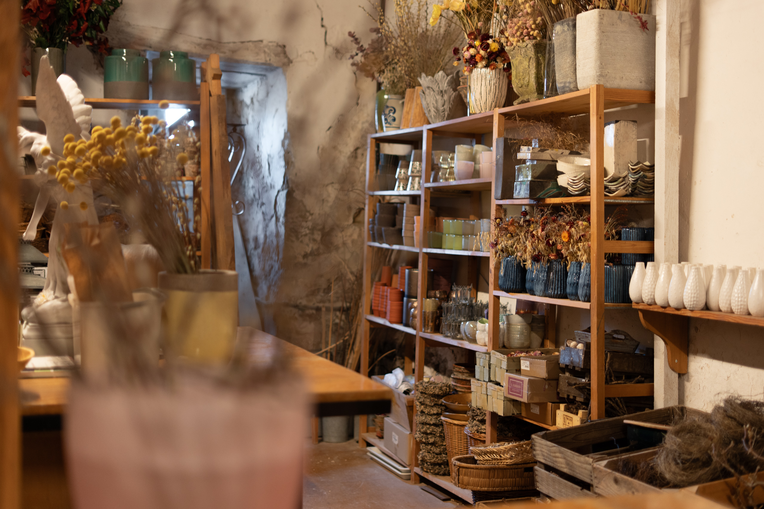 Blumenkeller, © 2026 Kloster Kappel