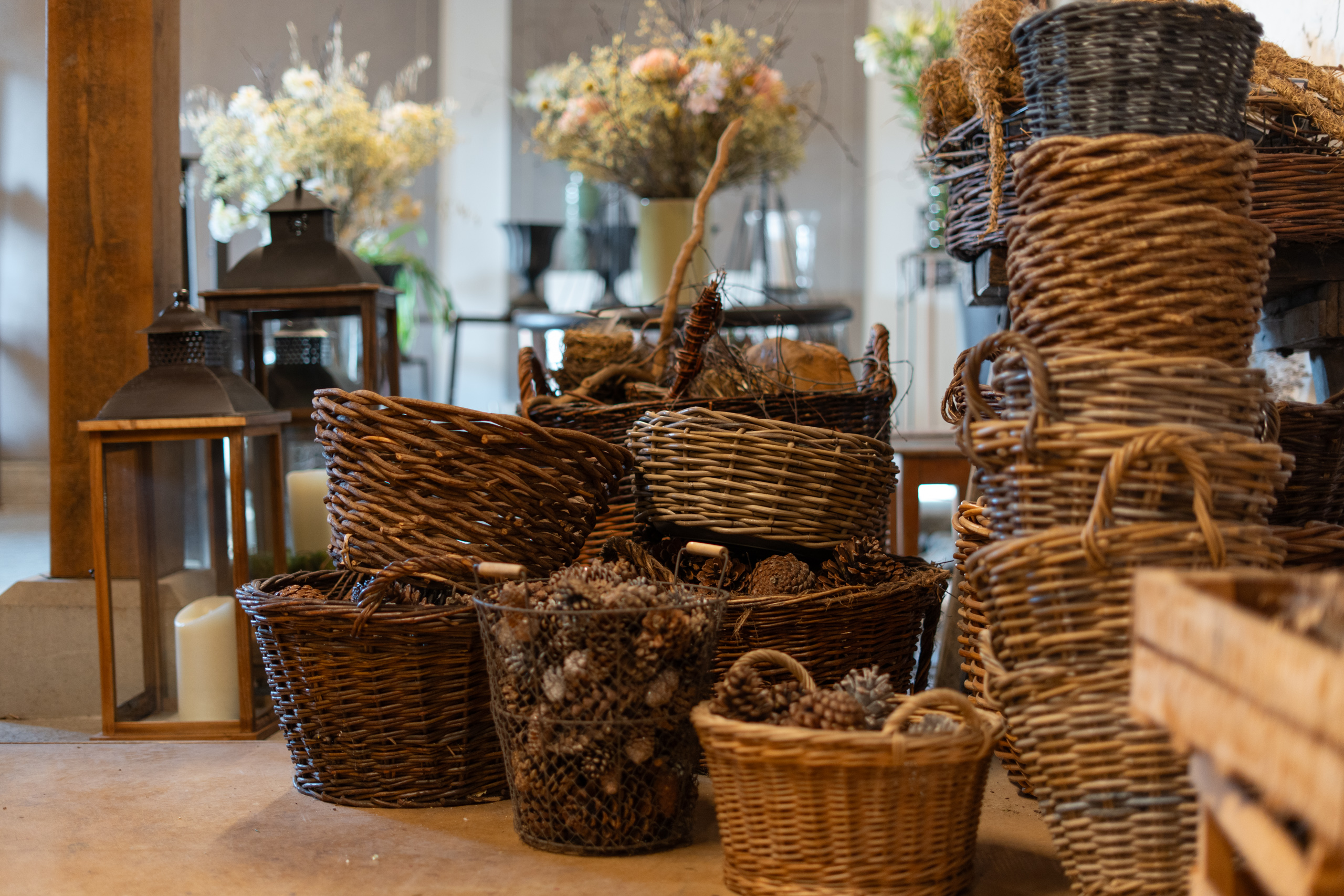 Blumenkeller, © 2026 Kloster Kappel