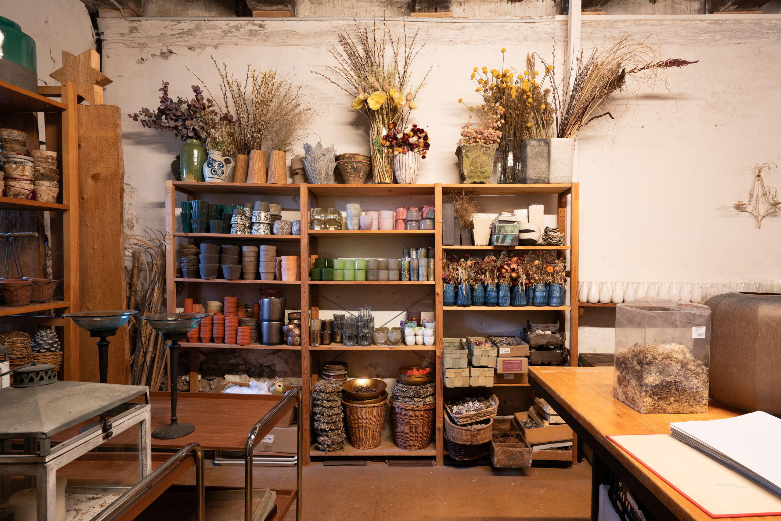 Blumenkeller, © 2026 Kloster Kappel