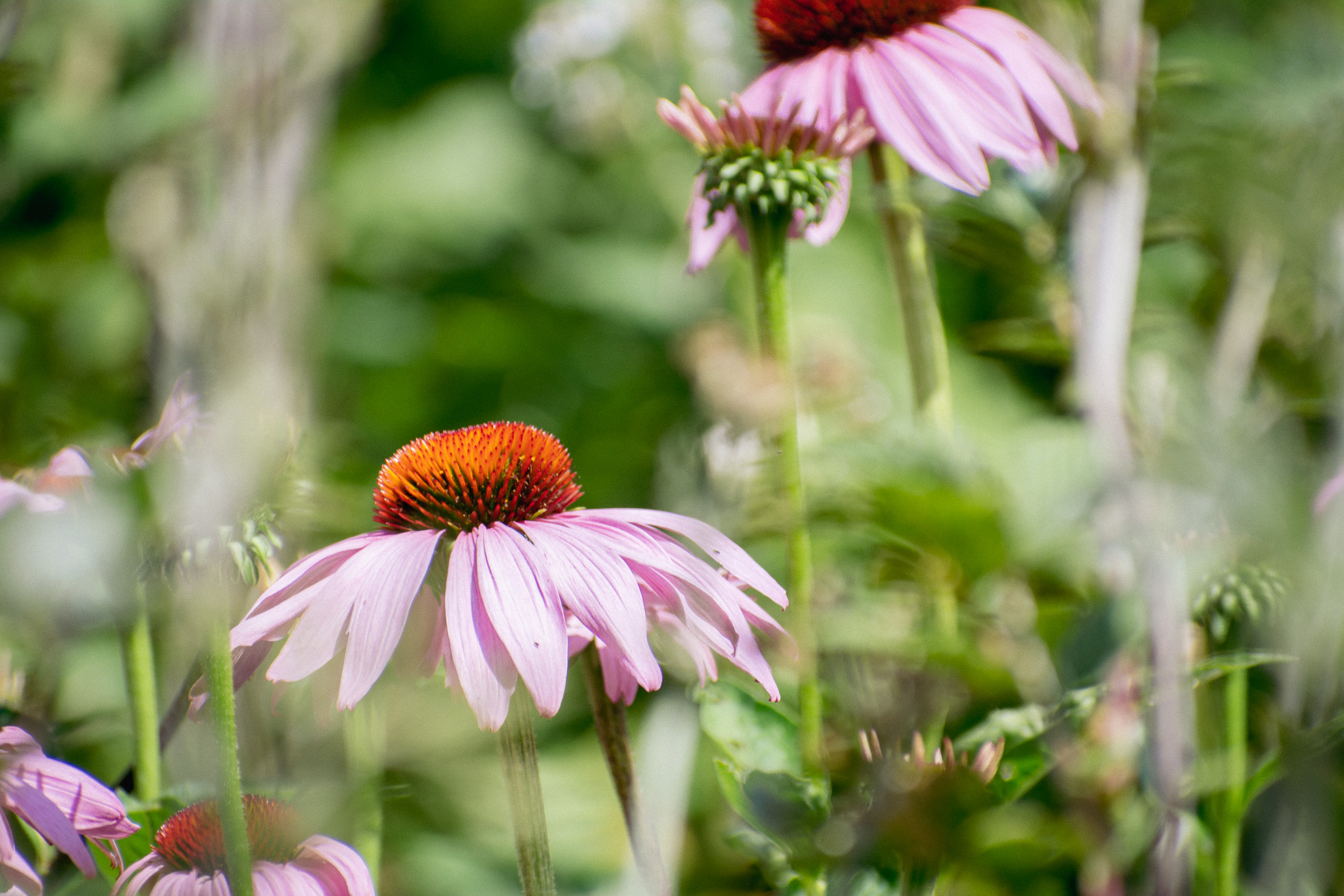 Nachhaltigkeit, © 2026 Kloster Kappel