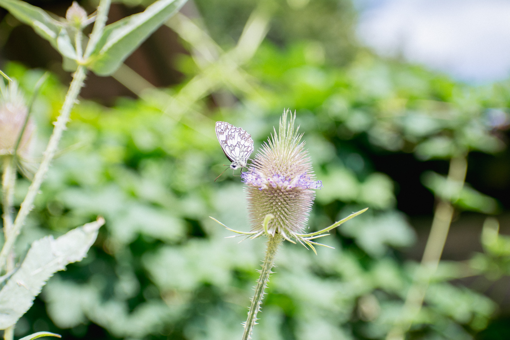 Nachhaltigkeit, © 2026 Kloster Kappel