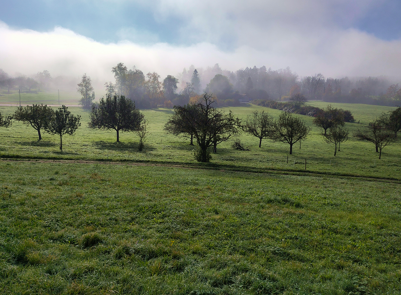 Gemeinsam für eine  nachhaltige Zukunft