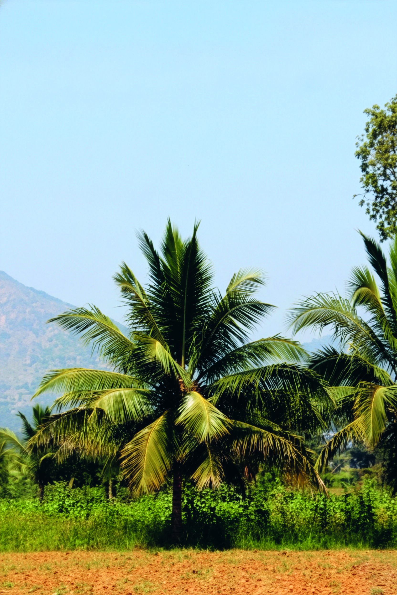 myclimate-Projekt in Indien © 2026 Kloster Kappel