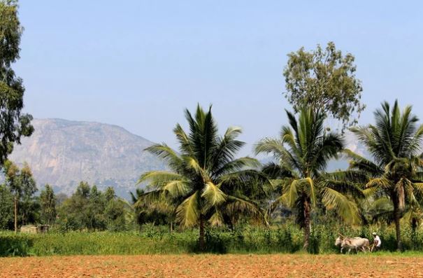 myclimate-Projekt in Indien © 2026 Kloster Kappel