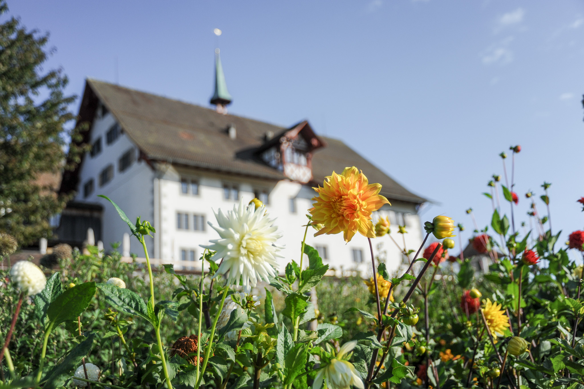 Klostergärten, © 2026 Kloster Kappel