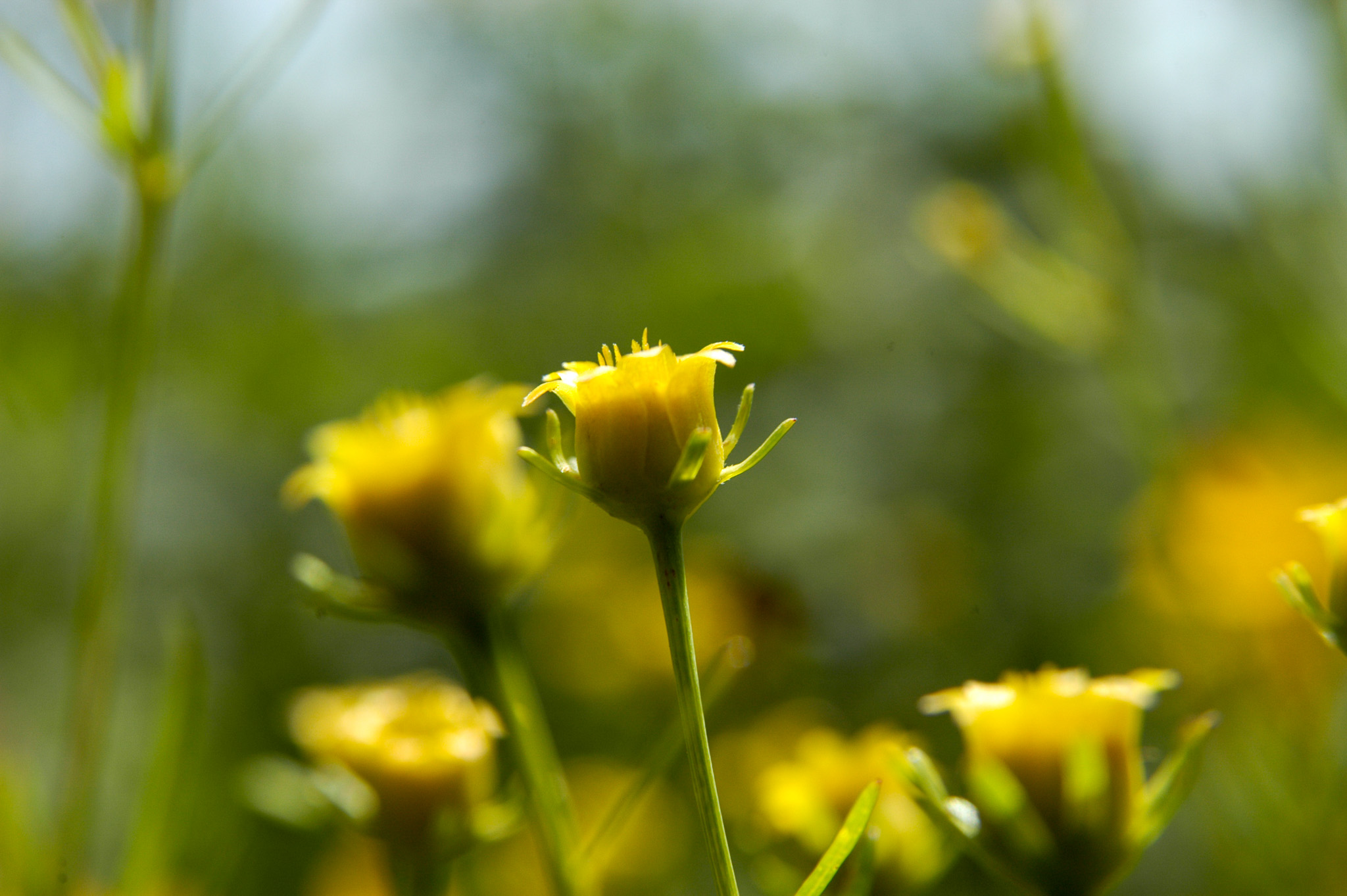 Klostergärten, © 2026 Kloster Kappel
